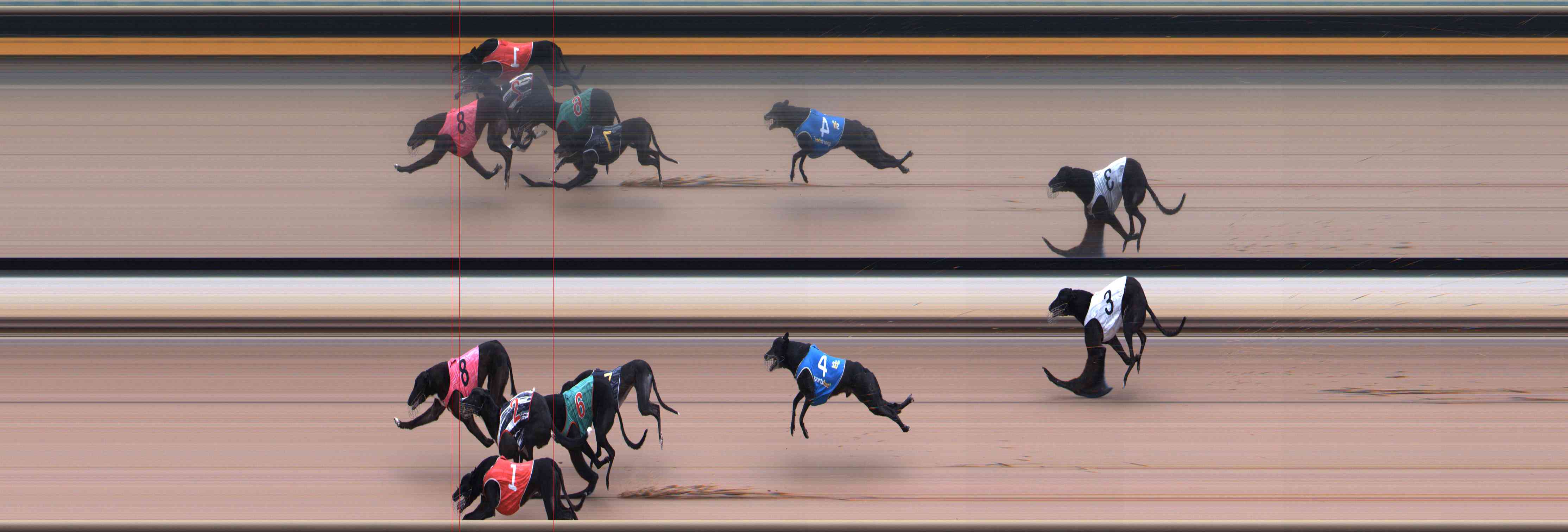 Race result finish photo